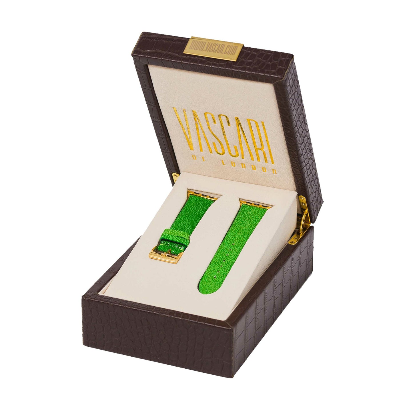 The Hyde Park Stingray Apple Watch Strap