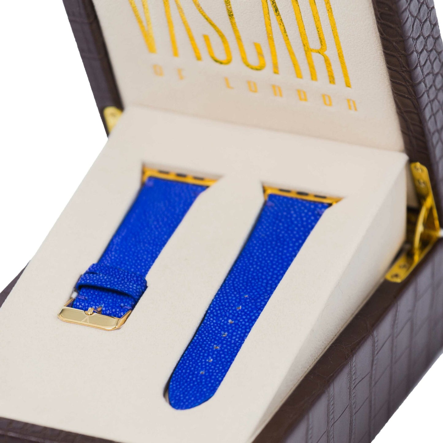 The Camden Stingray Apple Watch Strap Rare View